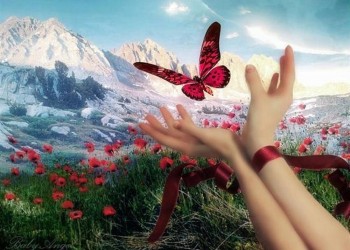 Ni por oposición ni por imposición