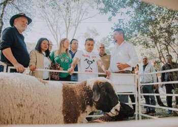 Herrera Ahuad destacó el trabajo del sector ovino caprino de Misiones