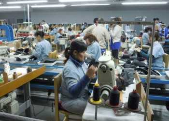 Trabajadores de Dass en actividad