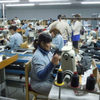 Trabajadores de Dass en actividad