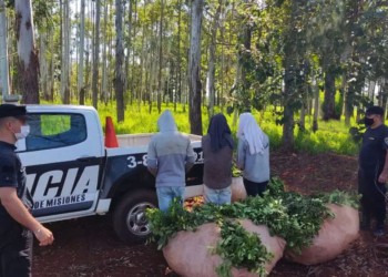 Mientras el delito rural asedia, en Diputados duerme un proyecto para endurecer las penas