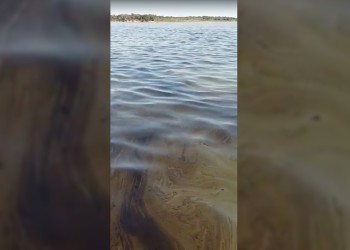 Derrame en el Paraná: “No dimensionamos lo que podría pasar si no actuamos”