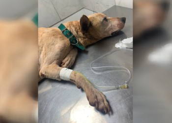 En Oberá siguen reclamando justicia por “Flaco”