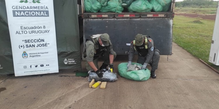 Gracias al perro “Boni”, encontraron tres toneladas de droga escondida entre bobinas de papel