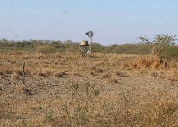Clima: cómo serán las lluvias en la primavera y el verano