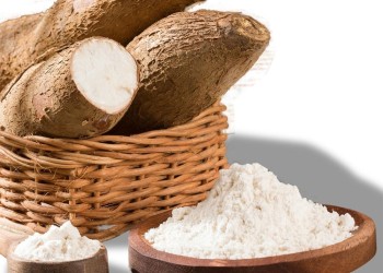 Se agrava el faltante de la fécula de mandioca y el sector teme perder clientes