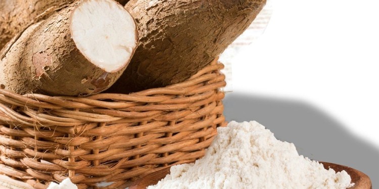 CRISIS. Hoy la oferta de fécula está muy lejos de cubrir la demanda y temen por el cierre de empresas.