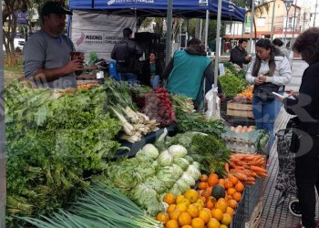 La Feria Franca de Posadas celebró sus 24 años con una fiesta en la plaza San Martín
