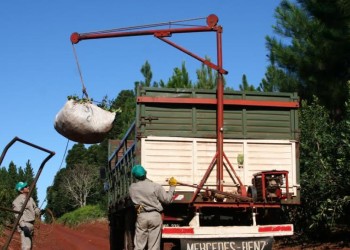 El INYM evalúa cómo responden las plantas a la cosecha mecanizada