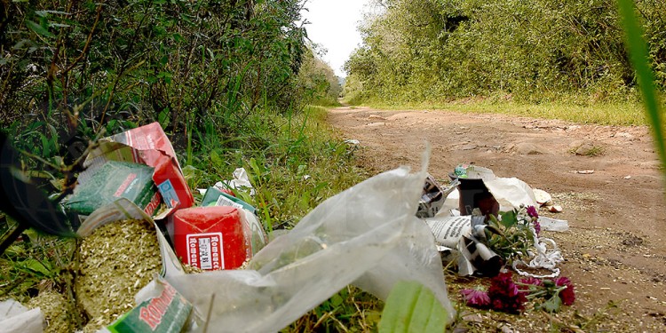 ESCENARIO. El sospechoso de masacrar a Da Rosa también destrozó toda la mercadería y flores que llevaba junto a Teresa Venencio.