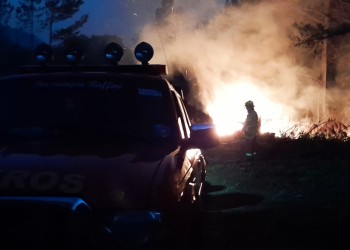 Detuvieron a incendiario que prendió fuego cinco hectáreas de pino