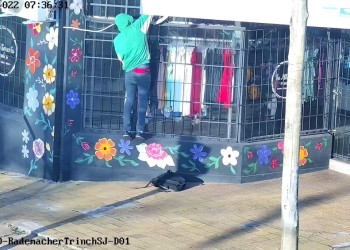 Captado in fraganti a plena luz del día cuando sustraía ropas