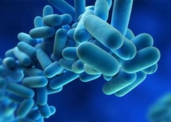 El brote de neumonía bilateral en Tucumán sería por legionella