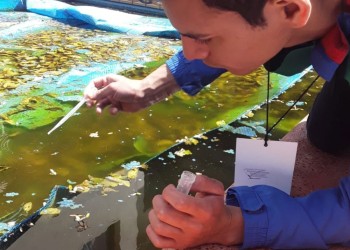 El último LIRAa en Posadas recorrió más 6.000 hogares