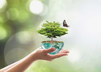 Acciones para cuidar el ambiente