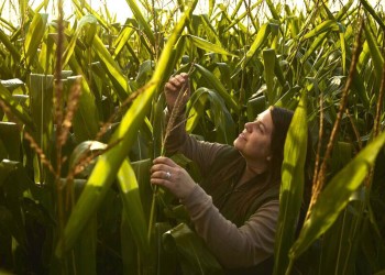 Buscan conocer la realidad de las mujeres rurales del país