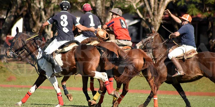 Fotos y video: la gran fiesta del pato en Posadas