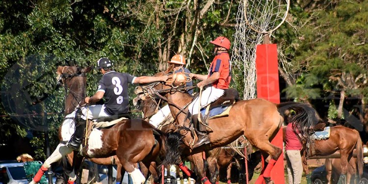 Fotos y video: la gran fiesta del pato en Posadas