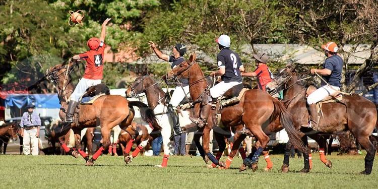 Fotos y video: la gran fiesta del pato en Posadas
