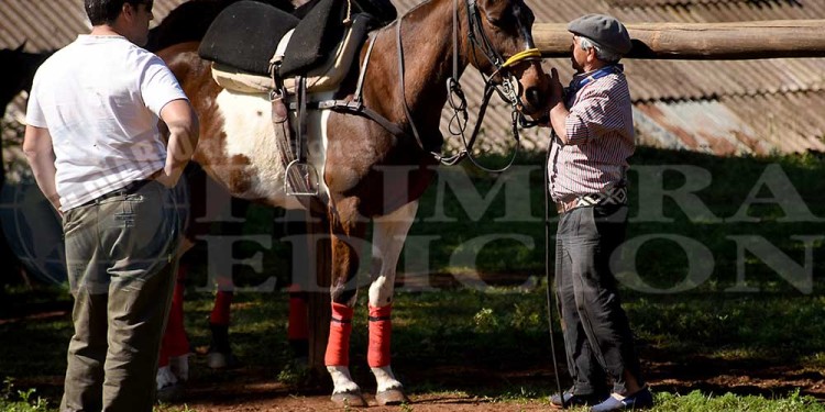 Fotos y video: la gran fiesta del pato en Posadas