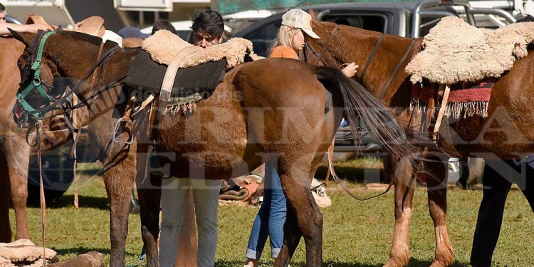 Fotos y video: la gran fiesta del pato en Posadas