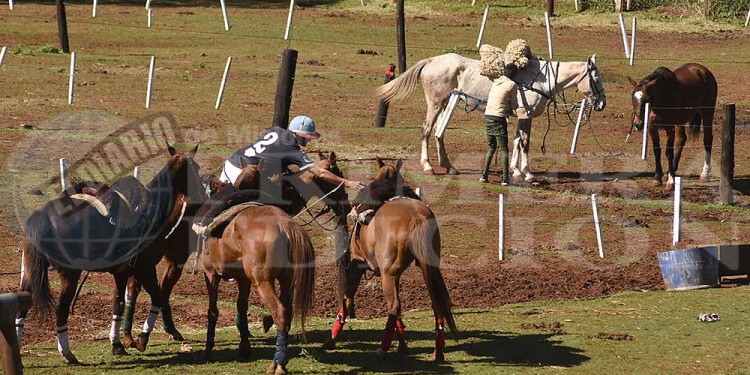 Fotos y video: la gran fiesta del pato en Posadas