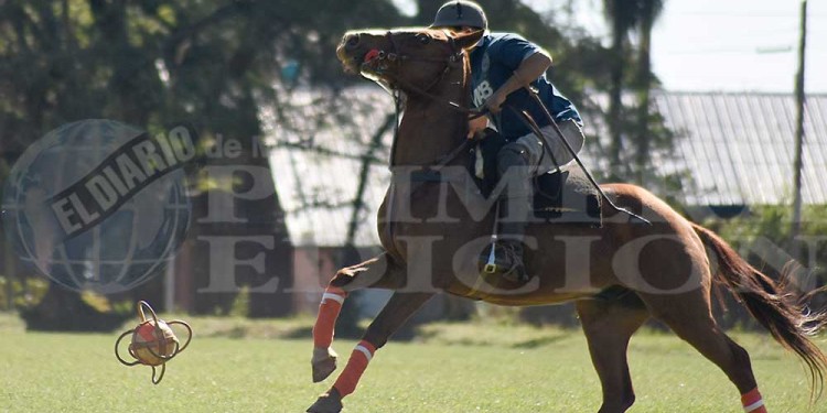 Fotos y video: la gran fiesta del pato en Posadas