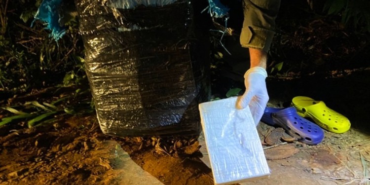 MARCA. El relieve de un delfín en el dorso del material secuestrado.