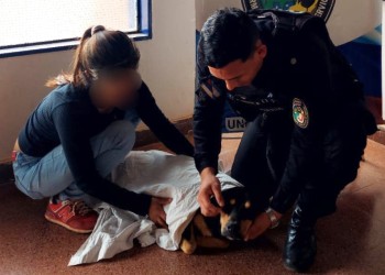 “Rocco” se reencontró felizmente con su dueña