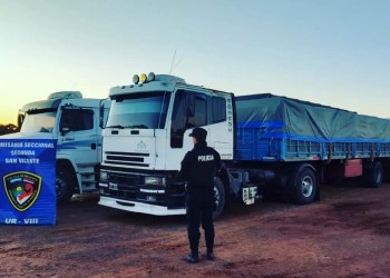 Secuestran más de 400 toneladas de soja y maíz transportados ilegalmente