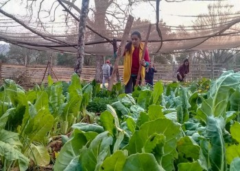 Fomentan parques productivos sustentables en Misiones