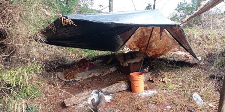 En San Pedro rescataron a cuatro tareferos víctimas de explotación laboral