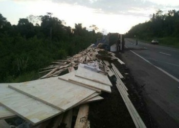 Camión volcó y desparramó su carga de madera sobre la ruta 12