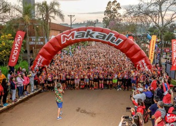 La fiesta está lista en Yaboty