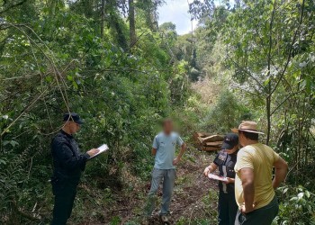 Dos motosierristas perdieron la vida aplastados por árboles que talaban