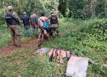 Atraparon a tres cazadores furtivos en un área protegida en San Pedro