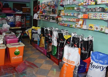 Ahora Mascotas: “estas iniciativas son una excelente oportunidad”