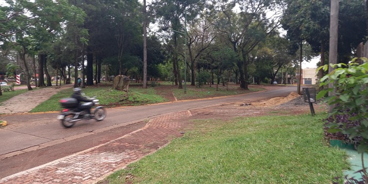 COMPLICADO. Los “amigos de lo ajeno” se esconden detrás de los árboles o utilizan los bancos de la plaza Aparicio Almeida para “controlar” la zona.