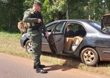 Gendarmería incautó en Pozo Azul más de 6 mil paquetes de cigarrillos