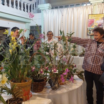 Expo Orquídeas