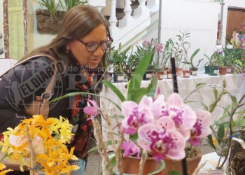 Expo Orquídeas