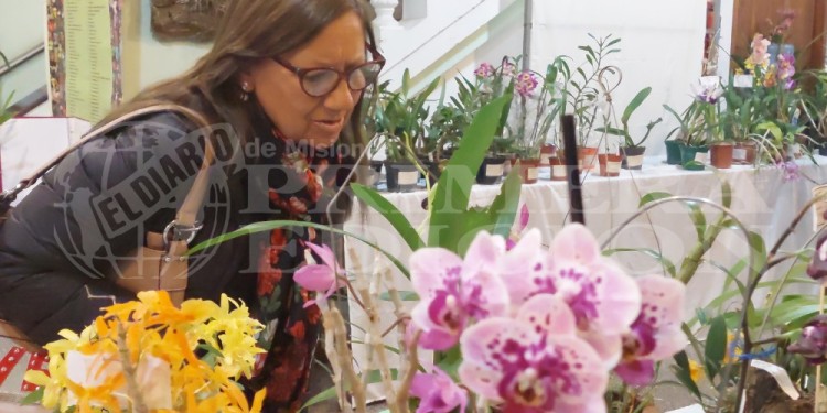 Expo Orquídeas
