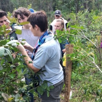 Jornada yerbatera con jóvenes