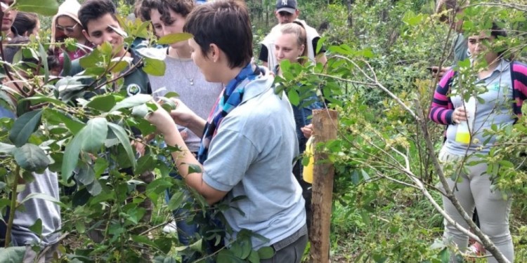 Jornada yerbatera con jóvenes