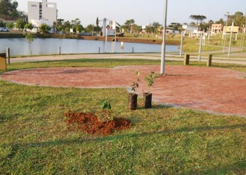Iniciaron los trabajos para el nuevo sistema de distribución de agua potable de Irigoyen