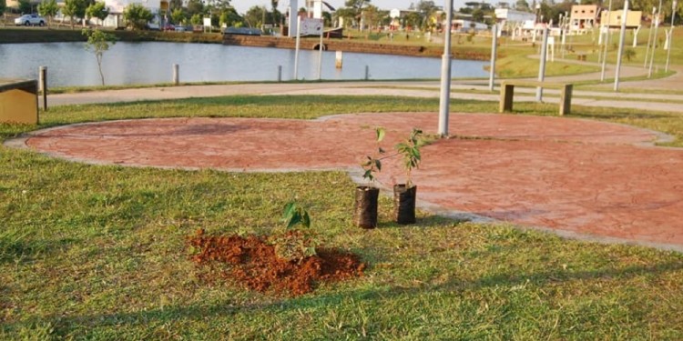 PROBLEMÁTICA. verano todavía habrá muchos problemas de agua potable.