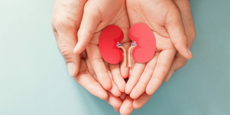 DEMANDA, Unas 5500 personas están en lista de espera y necesitan trasplante de riñón en el país.