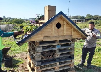 Posadas tiene su primer “Hotel de Insectos”: ¿Para que sirve?