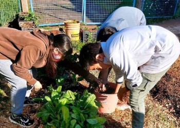 Capioví: en la Escuela 14 “los chicos ahora piden comer verdura”