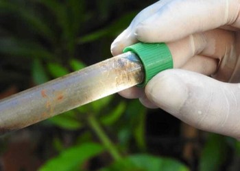 Eliminarán potenciales criaderos de Aedes aegypti en Oberá y Posadas